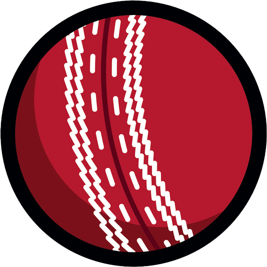 Cricket icon